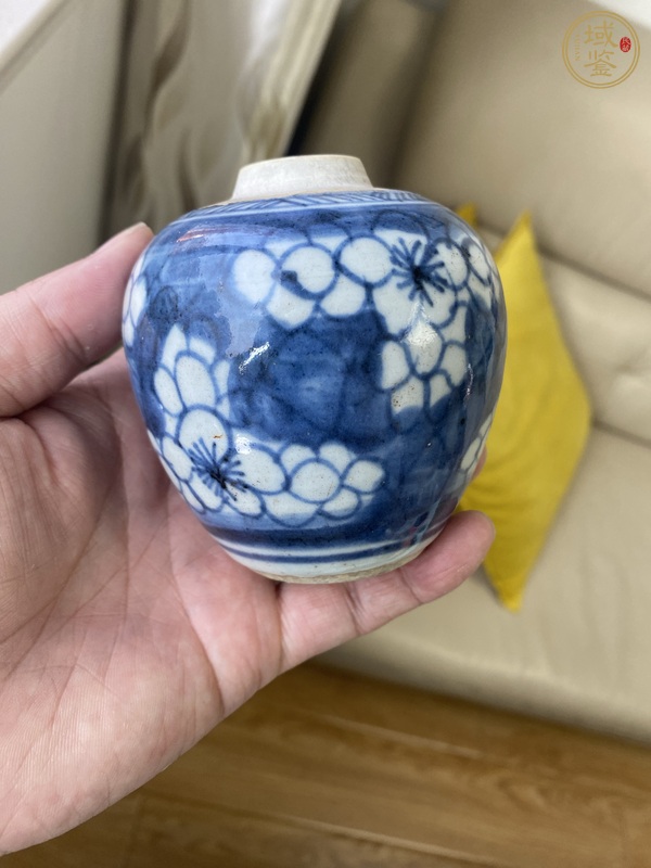 古玩陶瓷康熙青花冰梅罐真品鑒賞圖