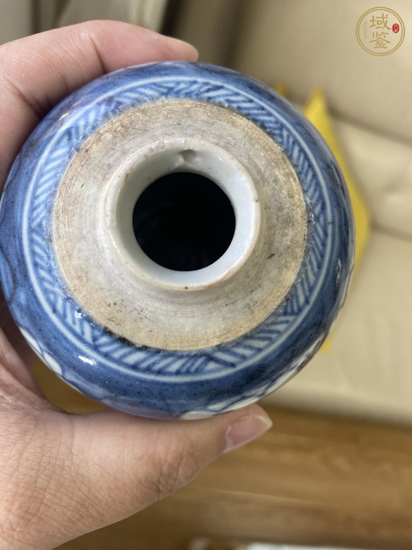 古玩陶瓷康熙青花冰梅罐真品鑒賞圖