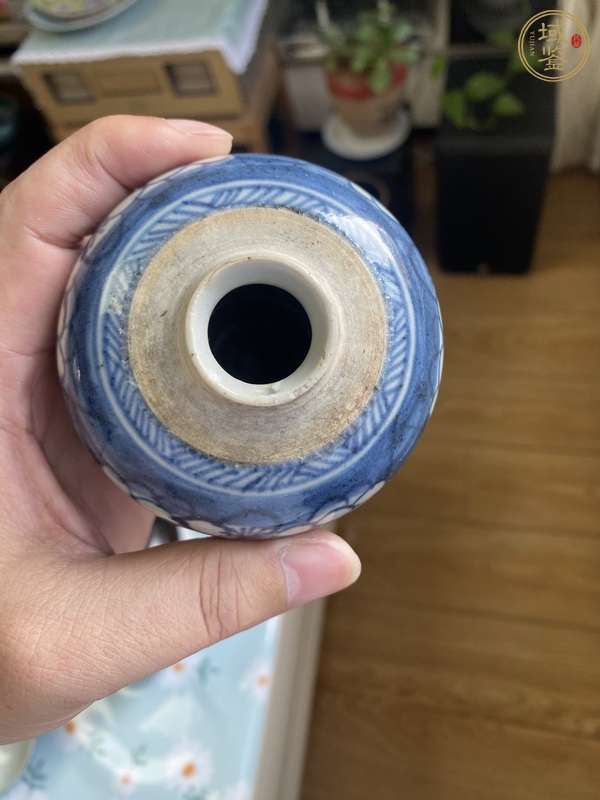 古玩陶瓷康熙青花冰梅罐真品鑒賞圖