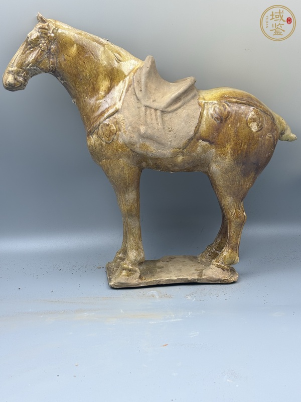 古玩唐三彩馬真品鑒賞圖
