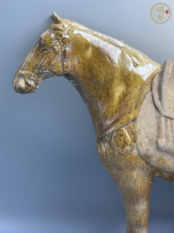 古玩陶瓷唐三彩馬真品鑒賞圖