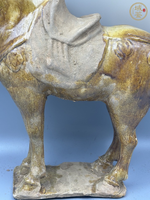 古玩陶瓷唐三彩馬真品鑒賞圖