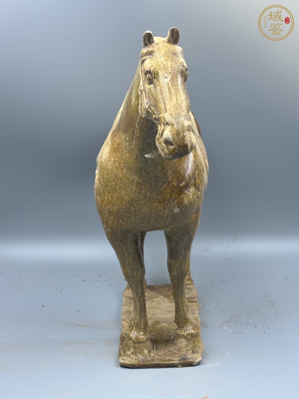 古玩陶瓷唐三彩馬真品鑒賞圖