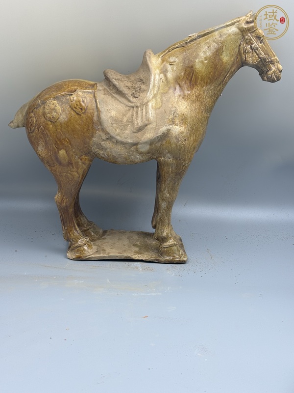 古玩陶瓷唐三彩馬真品鑒賞圖