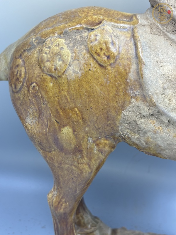 古玩陶瓷唐三彩馬真品鑒賞圖