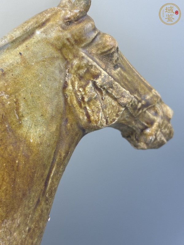 古玩陶瓷唐三彩馬真品鑒賞圖