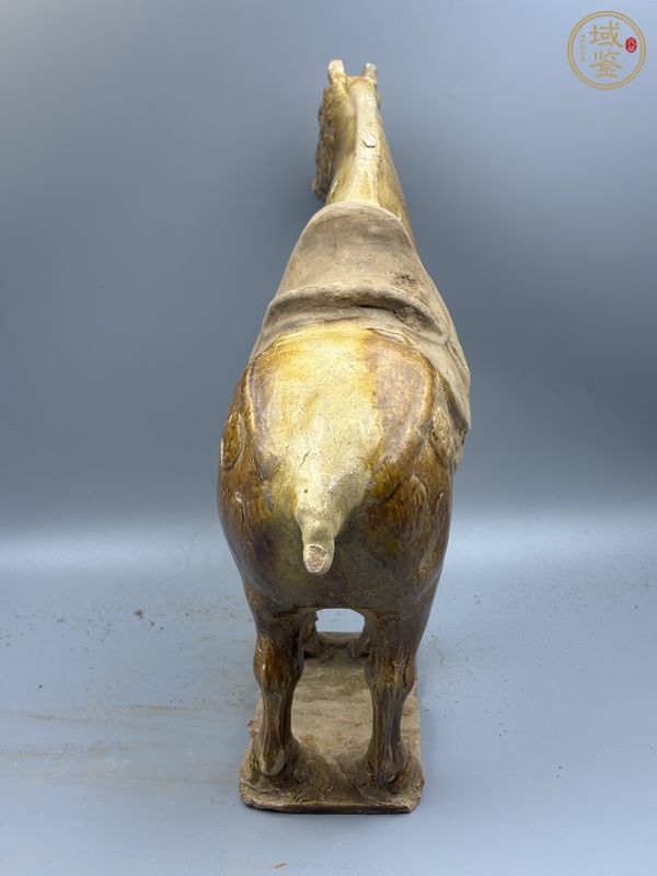 古玩陶瓷唐三彩馬真品鑒賞圖