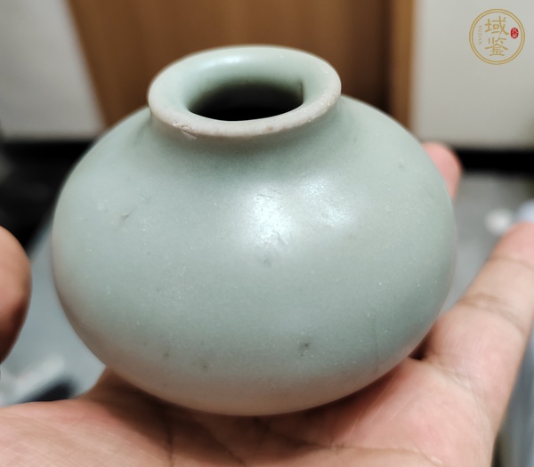 古玩陶瓷龍泉青瓷水盂真品鑒賞圖