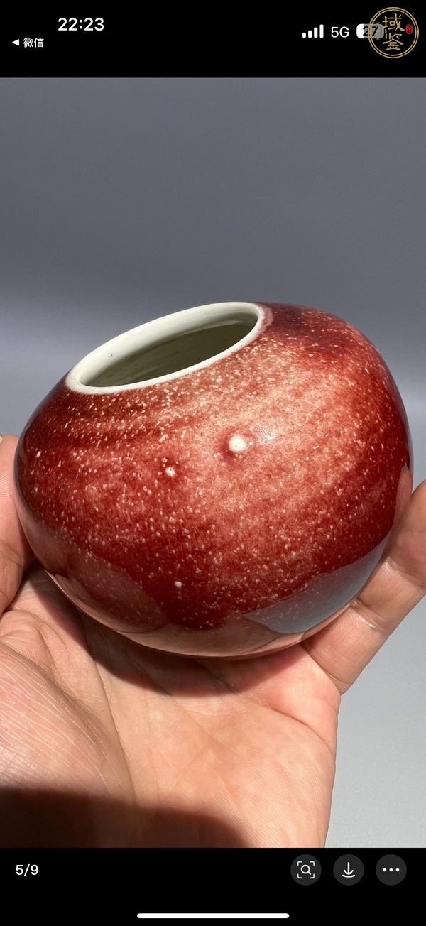 古玩陶瓷紅釉水盂真品鑒賞圖