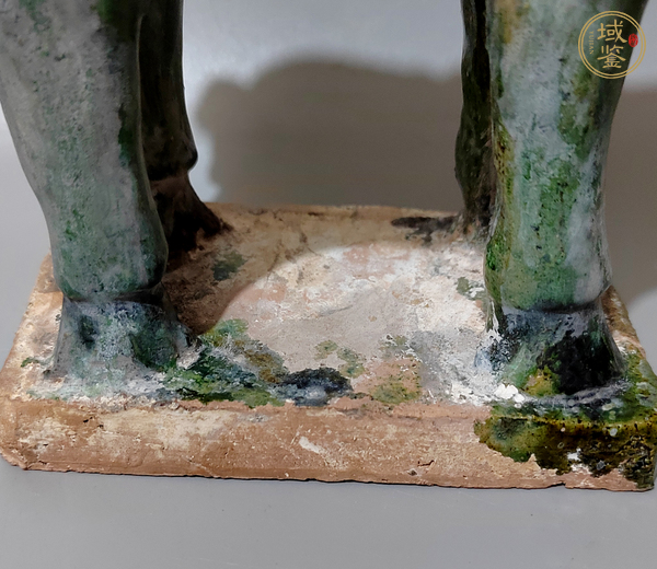 古玩陶瓷明三彩馬真品鑒賞圖