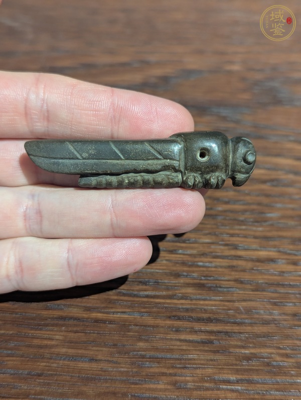 古玩蟲真品鑒賞圖