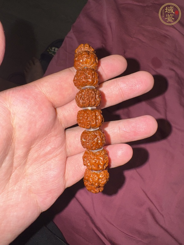 古玩雜項金剛菩提真品鑒賞圖