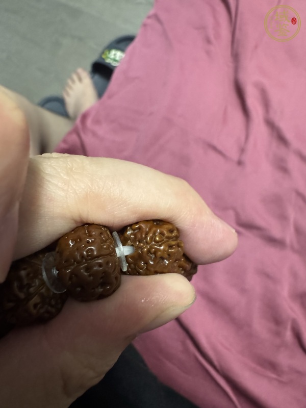 古玩雜項金剛菩提真品鑒賞圖