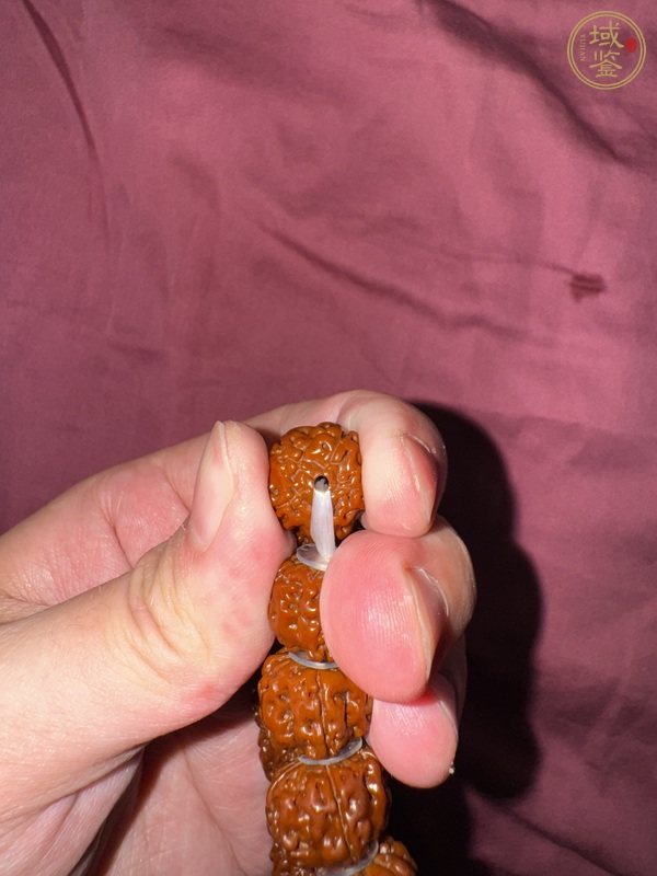 古玩雜項金剛菩提真品鑒賞圖