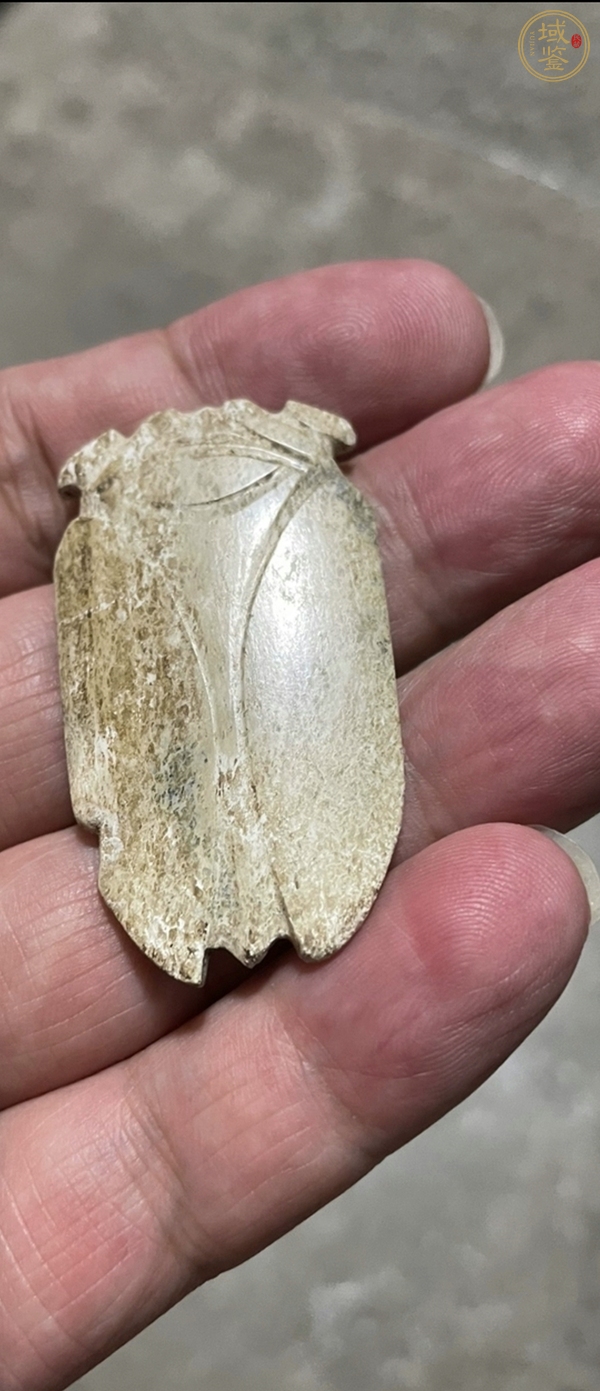 古玩漢代玉蟬真品鑒賞圖