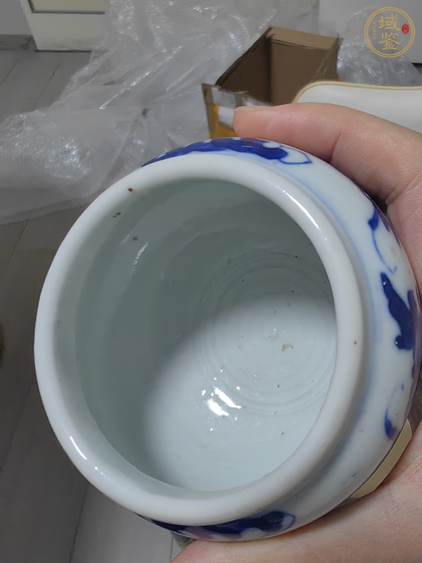 古玩陶瓷二龍戲珠青花豆真品鑒賞圖