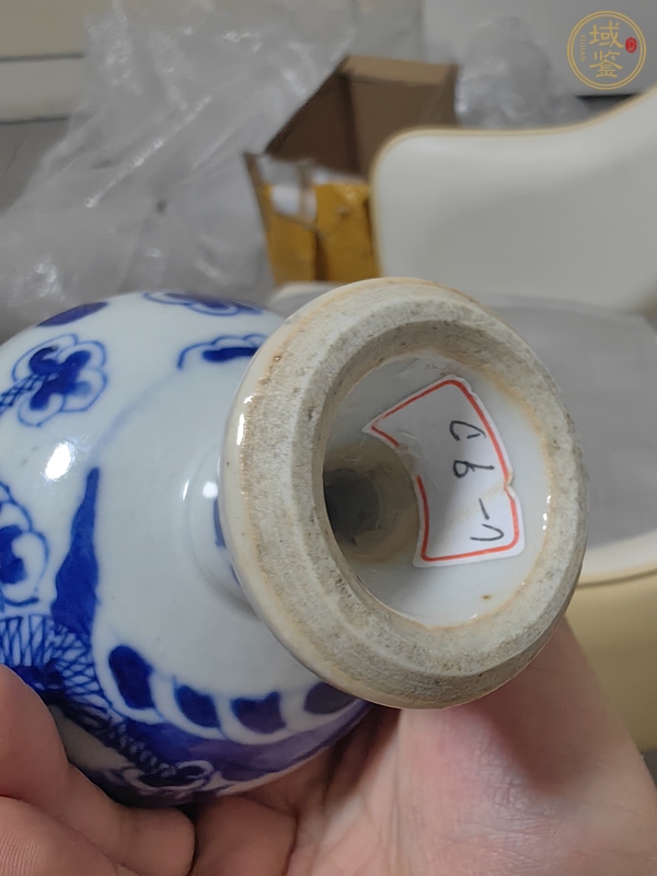 古玩陶瓷二龍戲珠青花豆真品鑒賞圖