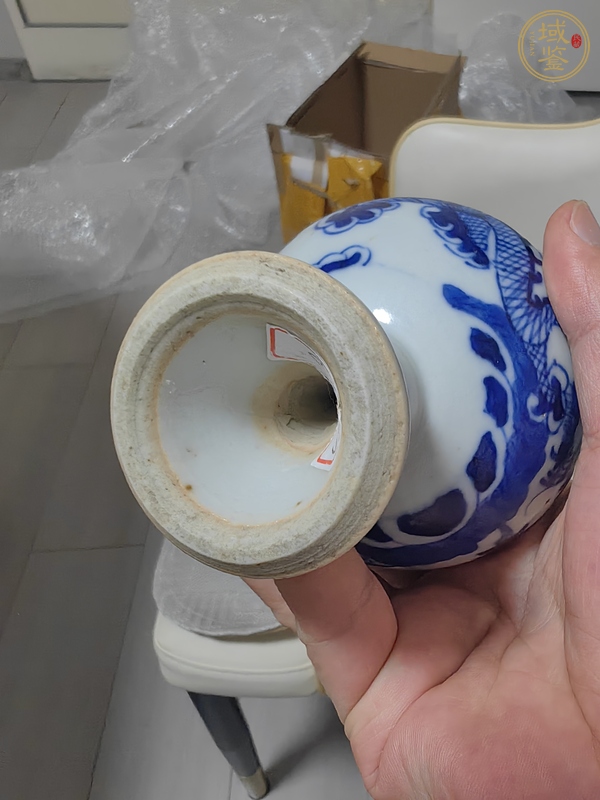 古玩二龍戲珠青花豆真品鑒賞圖