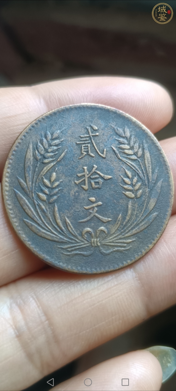 古玩錢幣中華銅幣貳拾文真品鑒賞圖