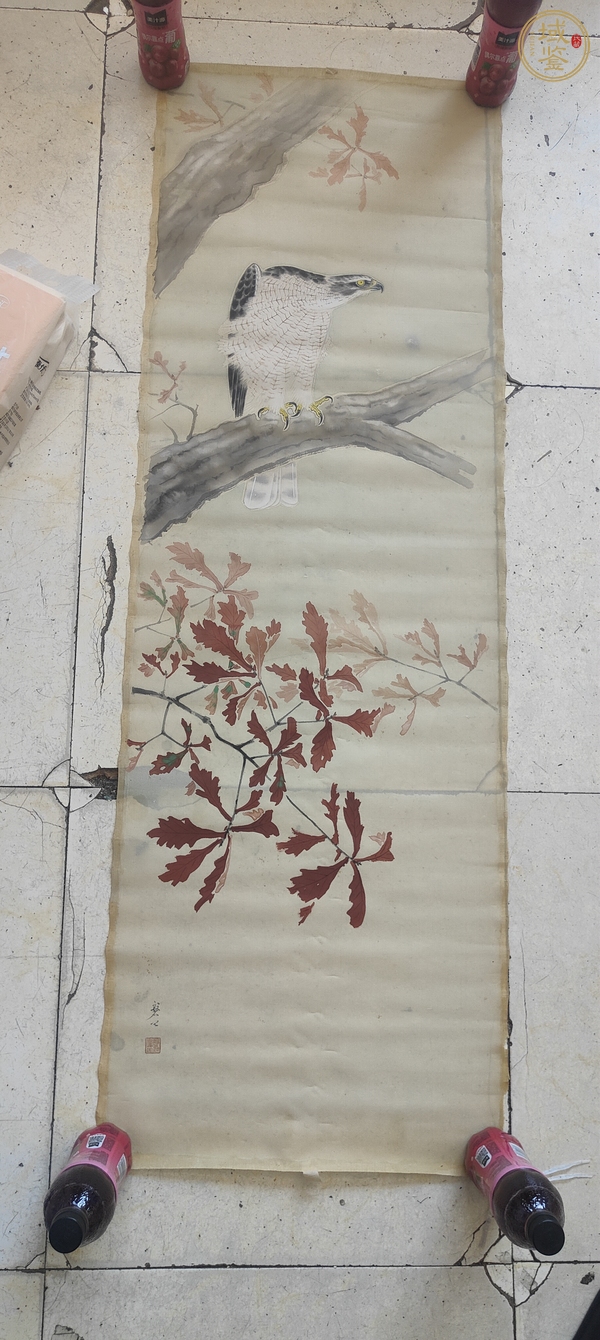 古玩磐公雄鷹立軸真品鑒賞圖