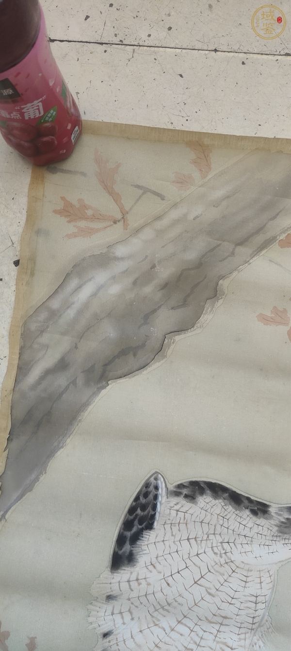 古玩字畫磐公雄鷹立軸真品鑒賞圖