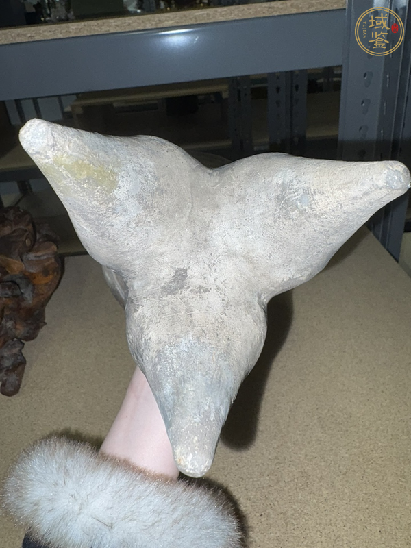 古玩陶瓷文化期真品鑒賞圖