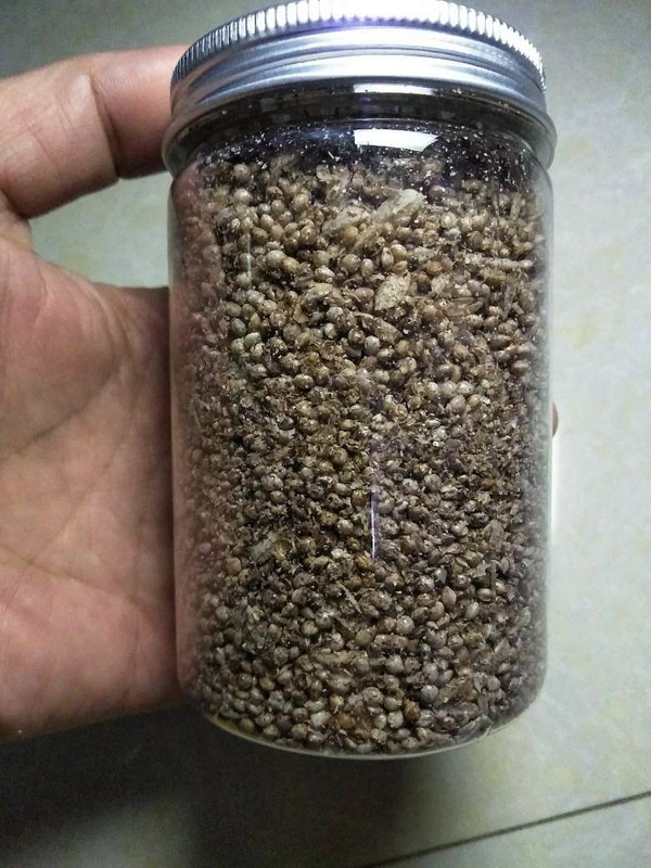 古玩陶瓷館藏級漢代糧倉出的鈣化五谷雜糧**拍賣，當前價格998元