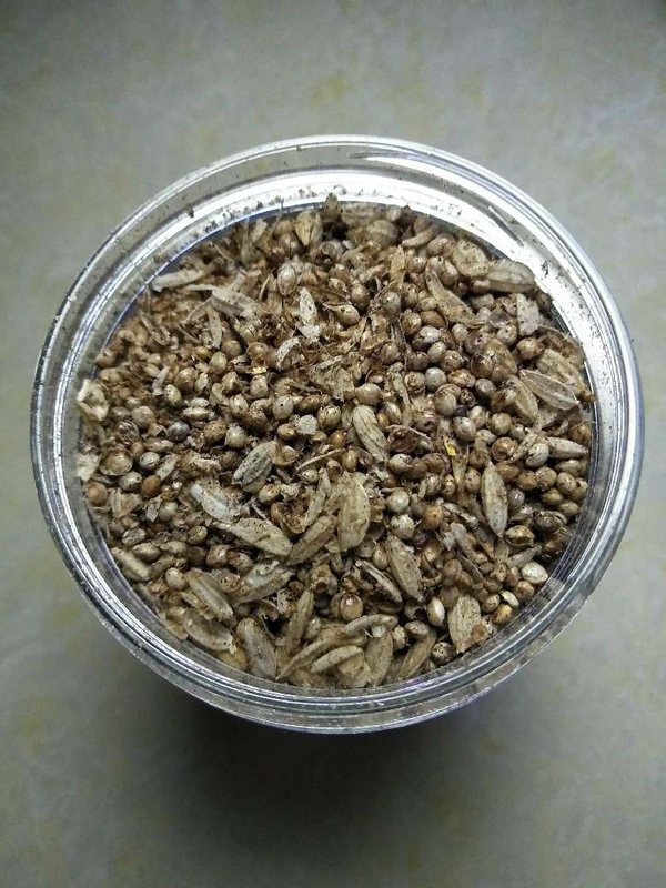 古玩陶瓷館藏級漢代糧倉出的鈣化五谷雜糧**拍賣，當前價格998元