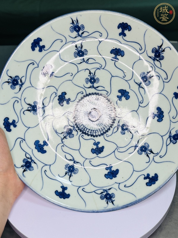 古玩陶瓷如意靈芝紋青花盤真品鑒賞圖