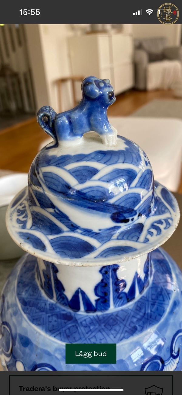 古玩陶瓷魚紋青花雞腿蓋瓶真品鑒賞圖