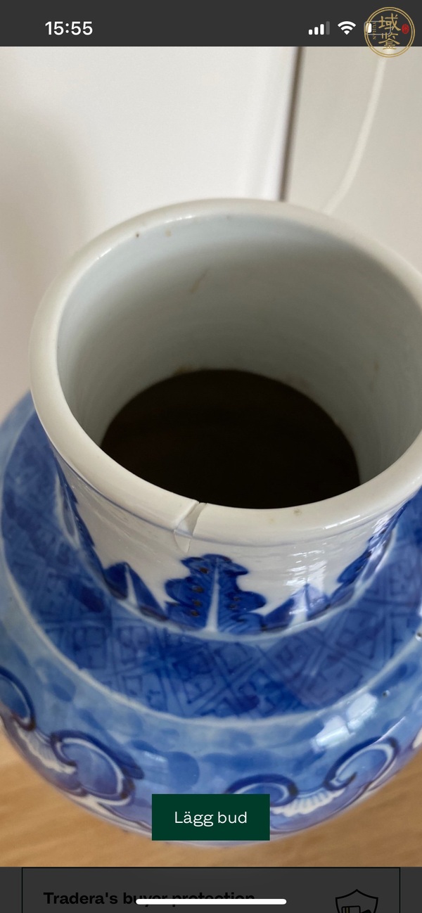 古玩陶瓷魚紋青花雞腿蓋瓶真品鑒賞圖