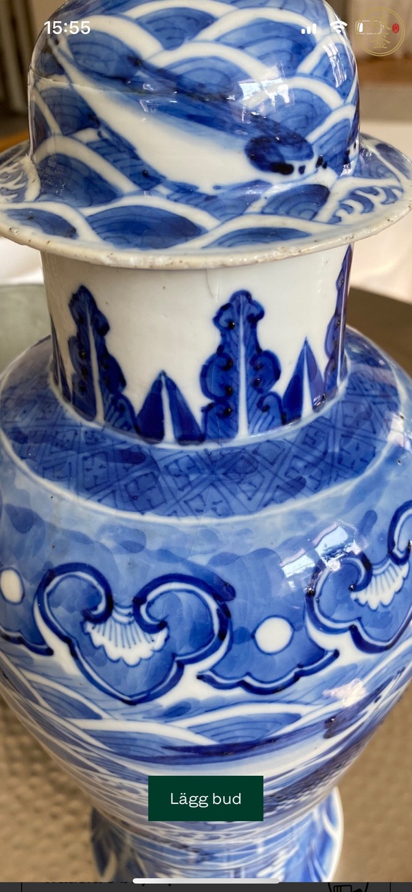 古玩陶瓷魚紋青花雞腿蓋瓶真品鑒賞圖