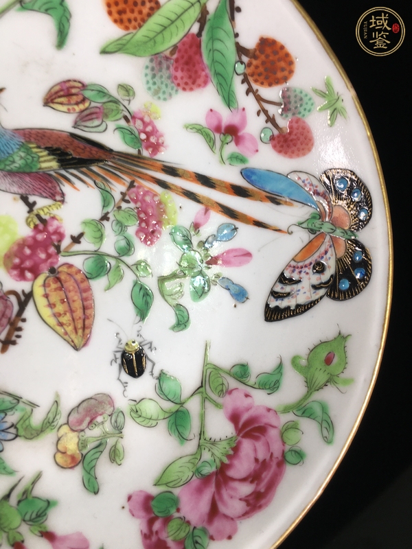 古玩陶瓷廣彩花鳥紋盤真品鑒賞圖