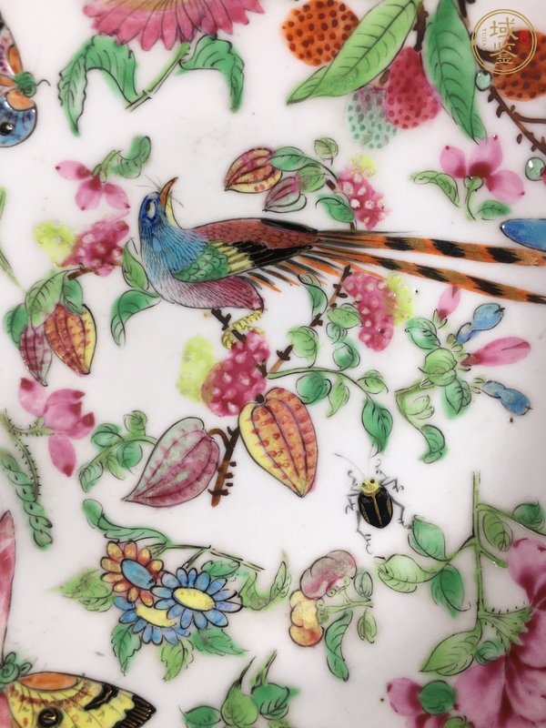 古玩陶瓷廣彩花鳥紋盤真品鑒賞圖