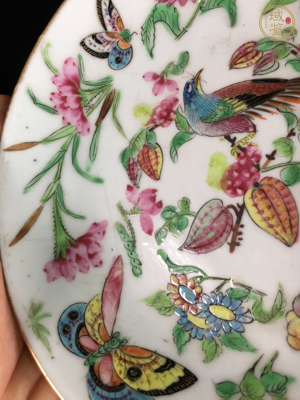 古玩陶瓷廣彩花鳥紋盤真品鑒賞圖