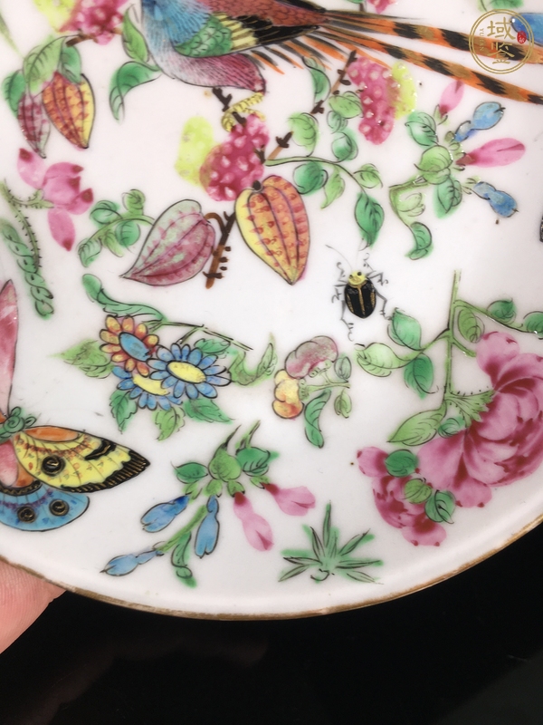 古玩陶瓷廣彩花鳥紋盤真品鑒賞圖