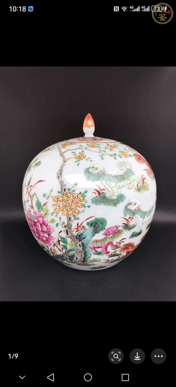 古玩陶瓷粉彩罐真品鑒賞圖