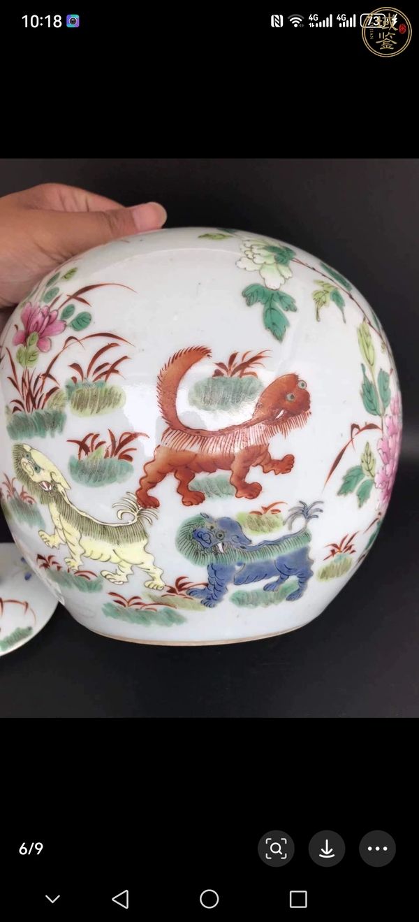 古玩陶瓷粉彩罐真品鑒賞圖