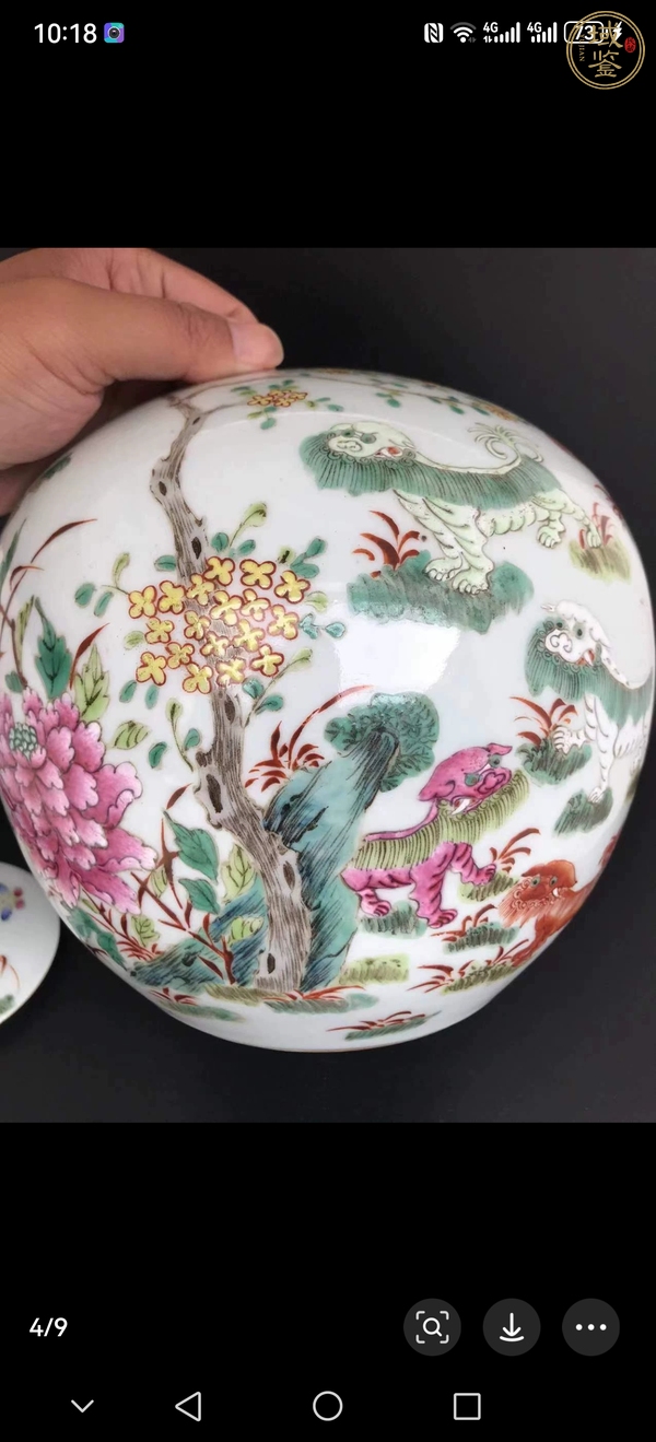 古玩陶瓷粉彩罐真品鑒賞圖