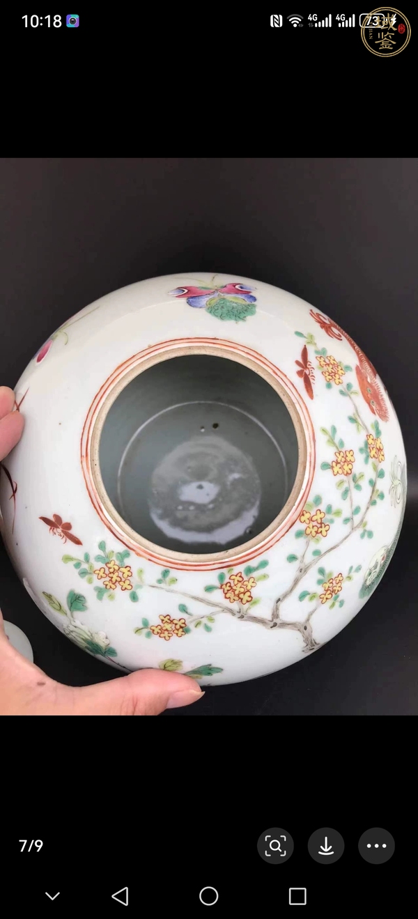 古玩陶瓷粉彩罐真品鑒賞圖