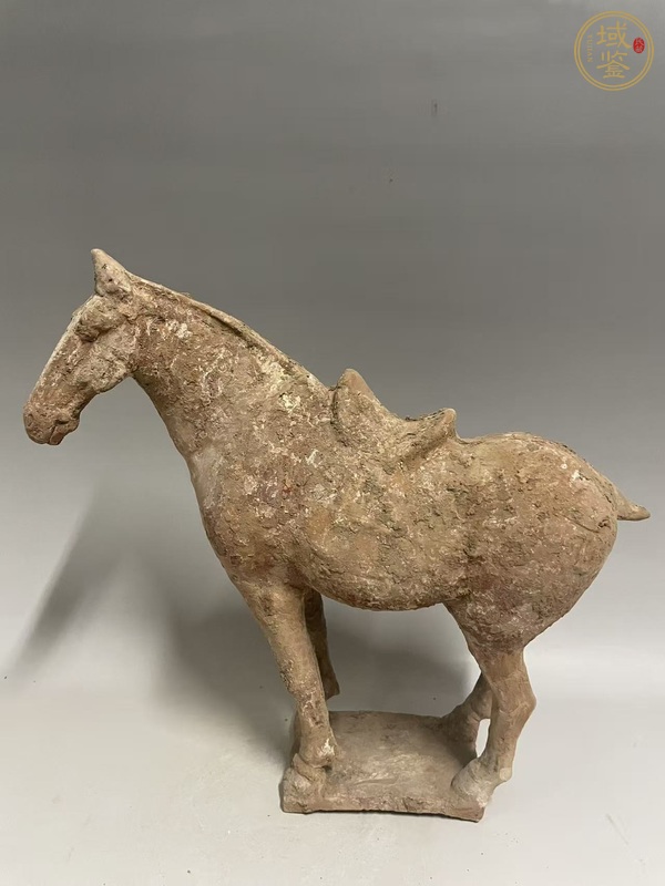 古玩唐·紅陶馬真品鑒賞圖