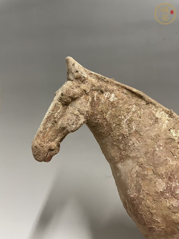 古玩陶瓷唐·紅陶馬真品鑒賞圖