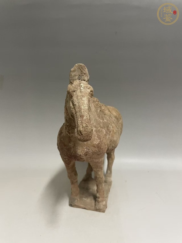 古玩陶瓷唐·紅陶馬真品鑒賞圖
