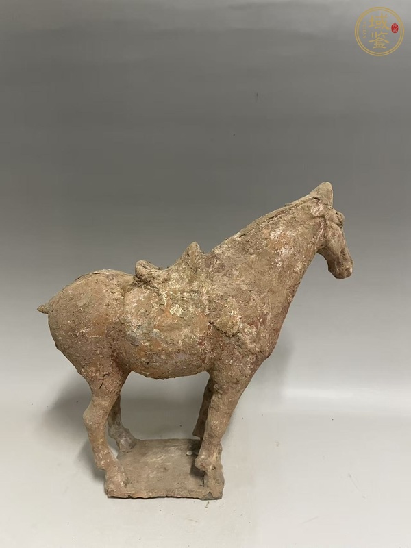 古玩陶瓷唐·紅陶馬真品鑒賞圖