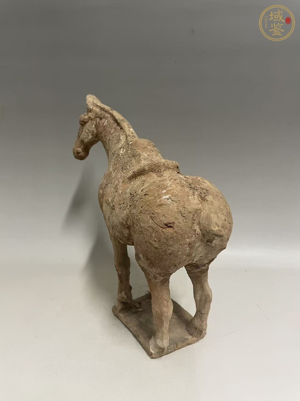古玩陶瓷唐·紅陶馬真品鑒賞圖