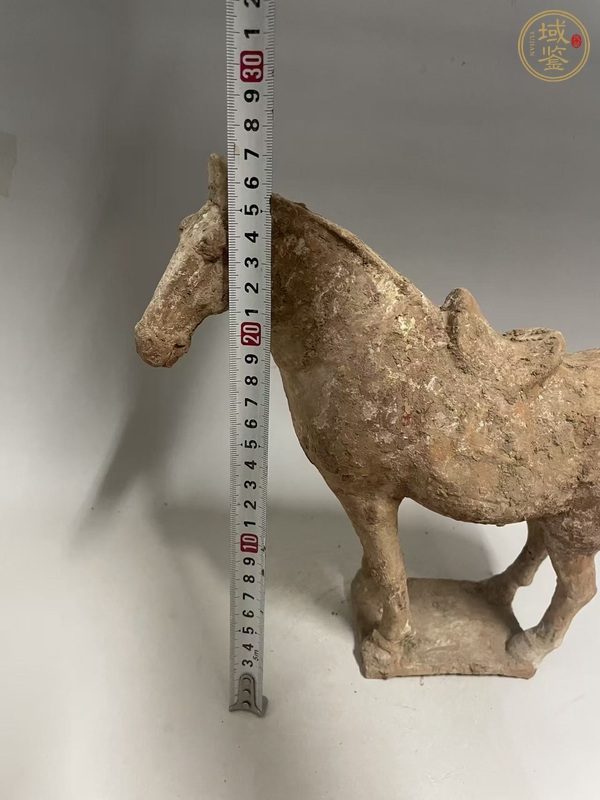 古玩陶瓷唐·紅陶馬真品鑒賞圖