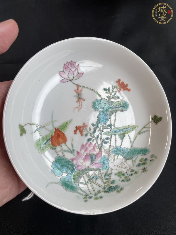古玩陶瓷一路連科粉彩盤真品鑒賞圖