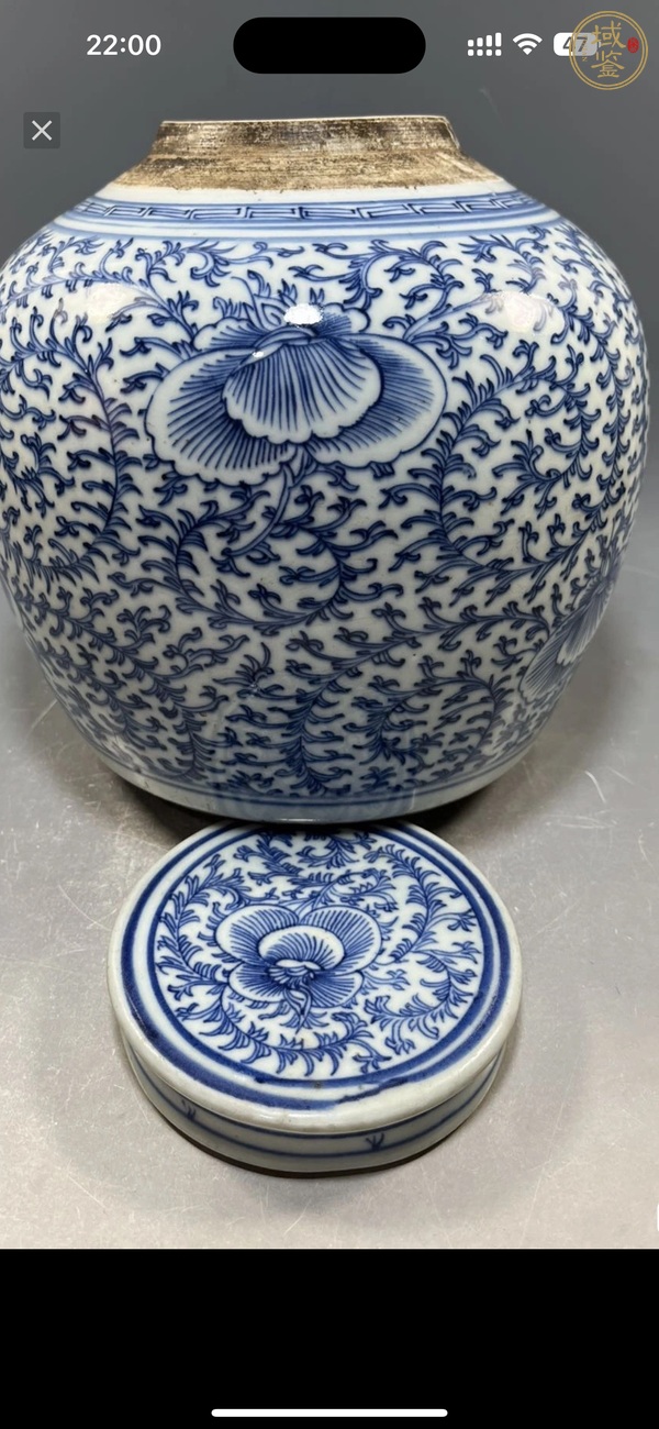 古玩陶瓷青花枝花卉紋蓋罐真品鑒賞圖