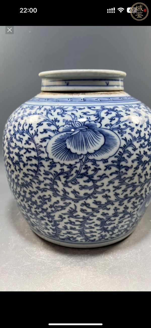 古玩陶瓷青花枝花卉紋蓋罐真品鑒賞圖