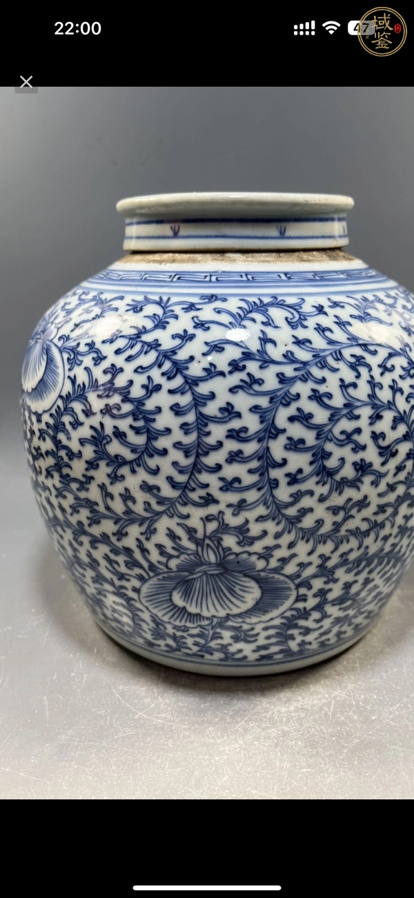 古玩陶瓷青花枝花卉紋蓋罐真品鑒賞圖